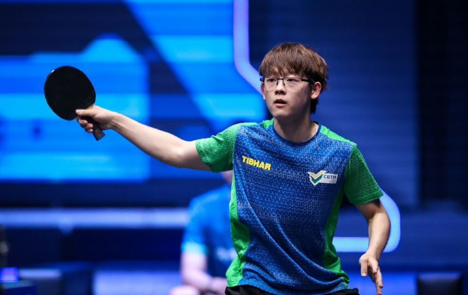 这一年以来 这一年以来